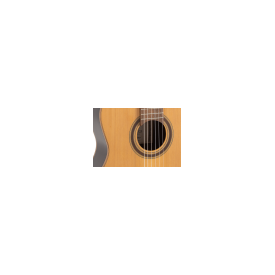 Guitarra Clásica Admira Virtuoso