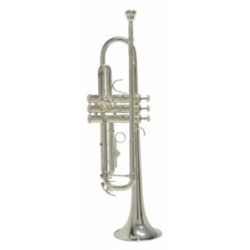 Trompeta Bach Plateada Sib TR650S