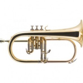 Fliscorno J.Michael Lacado Sib FG500