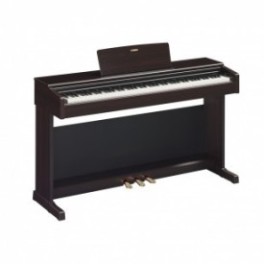 Yamaha Arius YDP 145