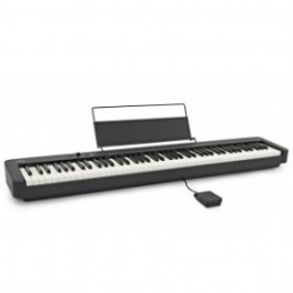 Casio CDP S110
