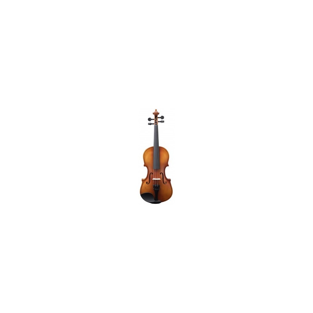 Violin Amadeus VA101