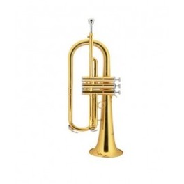 Fliscorno Consolat de Mar Pistones Lacado Sib FC 1100