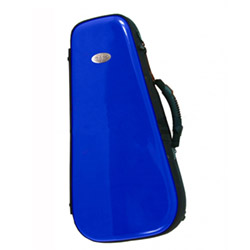 Fundas-Estuches