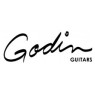 GODIN