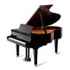 Pianos Y Teclados